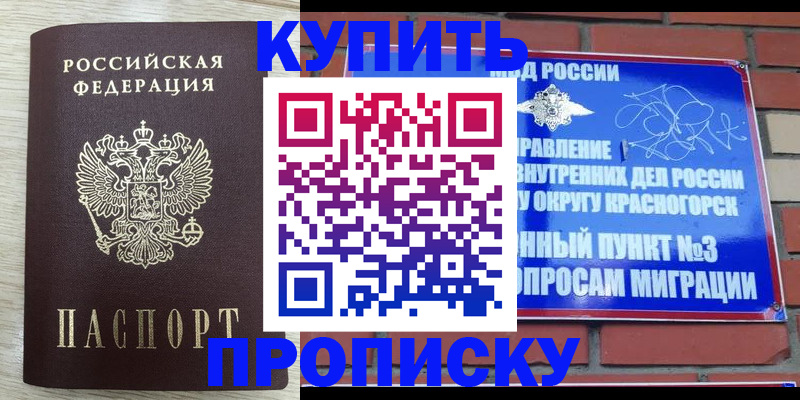 прописка гарантия в Приволжске